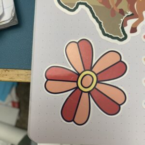 5 petaled peach and red flower