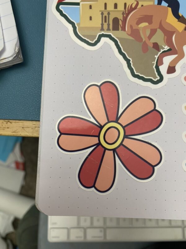 5 petaled peach and red flower